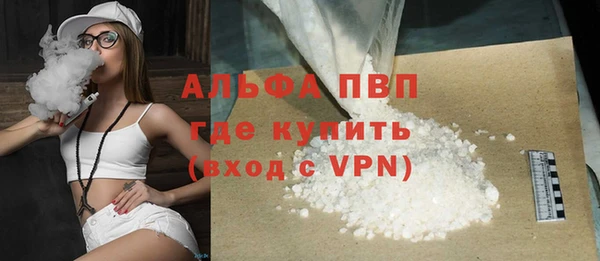 хмурый Гусь-Хрустальный