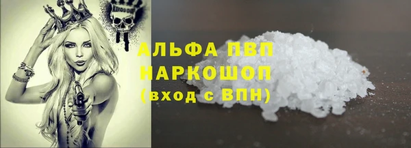 хмурый Гусь-Хрустальный