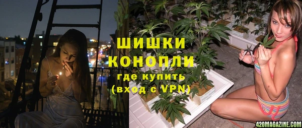 хмурый Гусь-Хрустальный