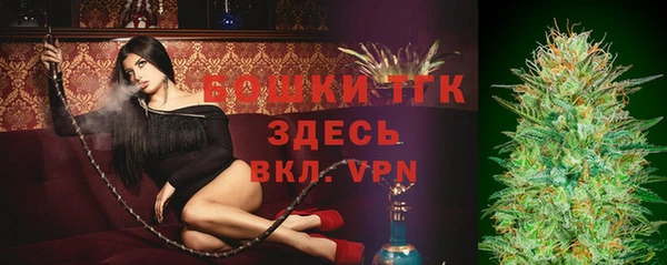 хмурый Гусь-Хрустальный