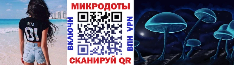 наркота  Павловская  Галлюциногенные грибы Psilocybe 